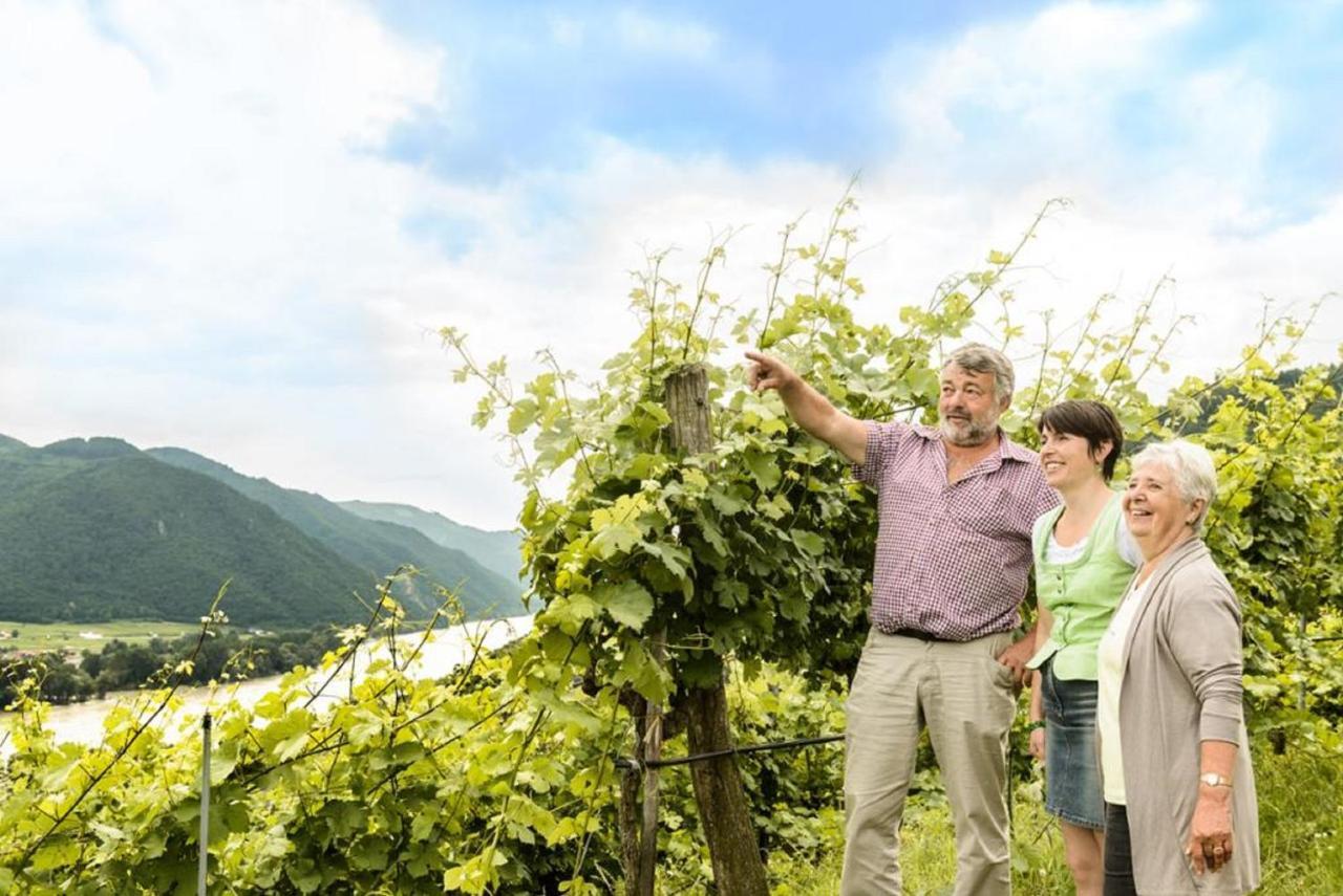 Weingut Und Ferienwohnung Pomassl Weissenkirchen in der Wachau Exterior foto